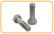 304L Stainless Steel Hex Head Bolt