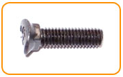 316l Stainless Steel Plow Bolt