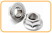  Alloy 20 Serrated Flange Nut