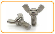 317l Stainless Steel Thumb & Wing Screws